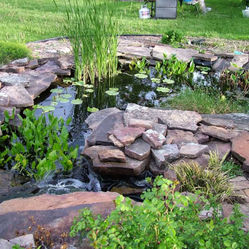 Stone slabs around garden pond