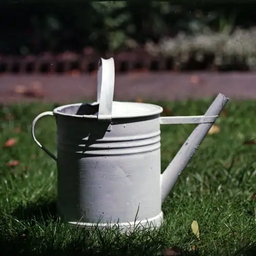 Watering can