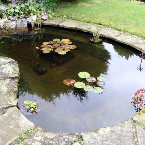 Small garden pond