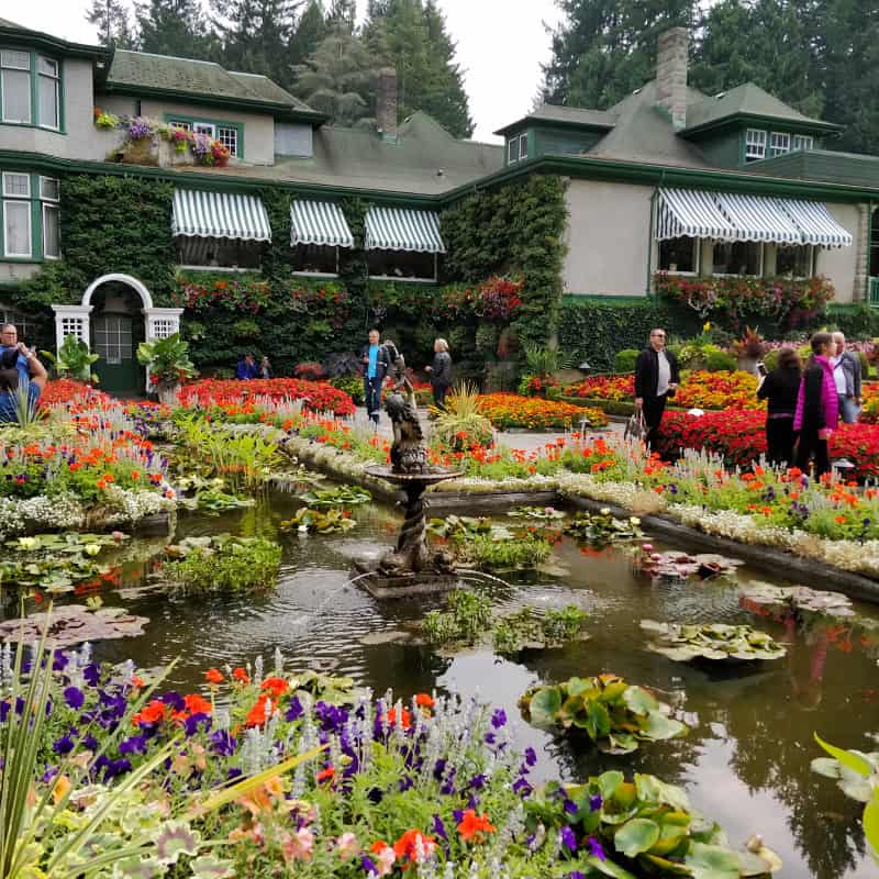 Pond with colorful flowers