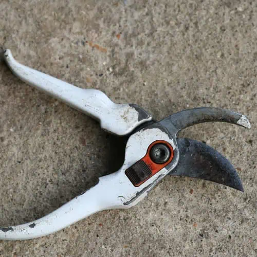 Secateurs