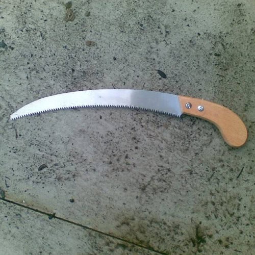 Pruning saw