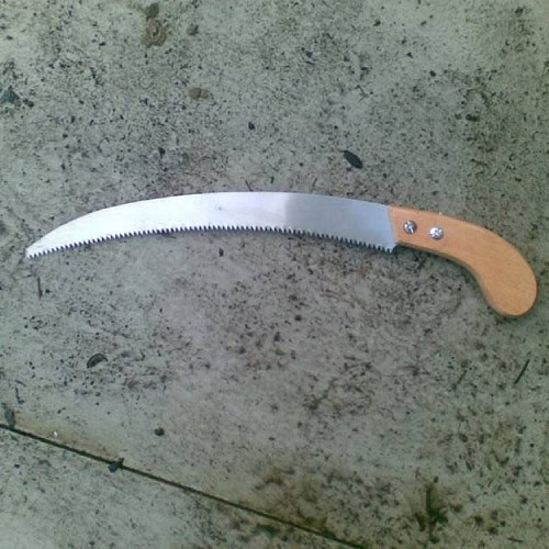 Pruning saw