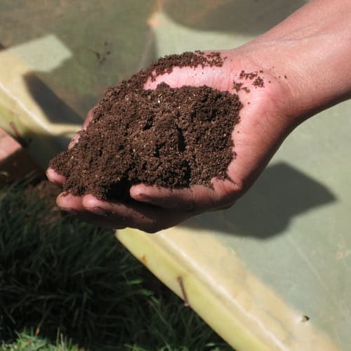 Compost