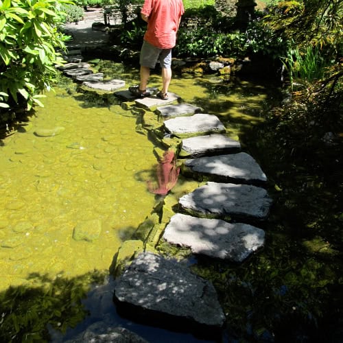 Pond stepping stones