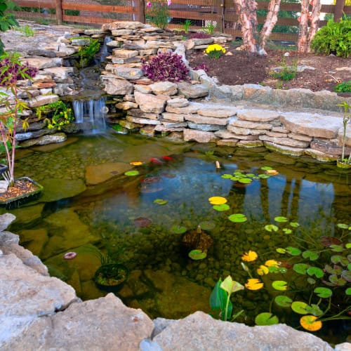 Backyard pond with natural stone ledges