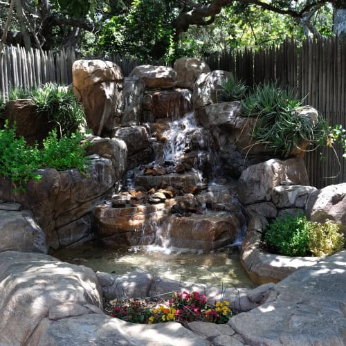 Backyard pond with waterfall