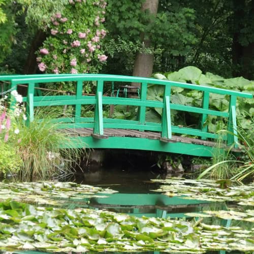 Wooden pond bridge