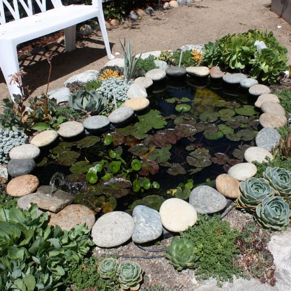 Rock-lined pond