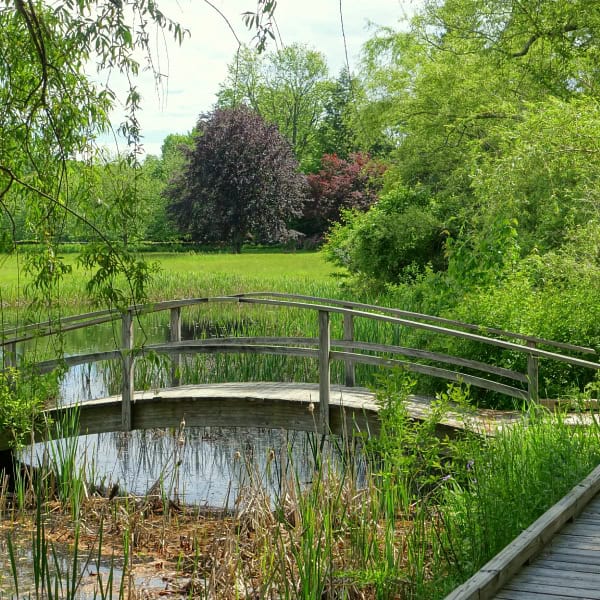 Classic wooden arch pond bridge
