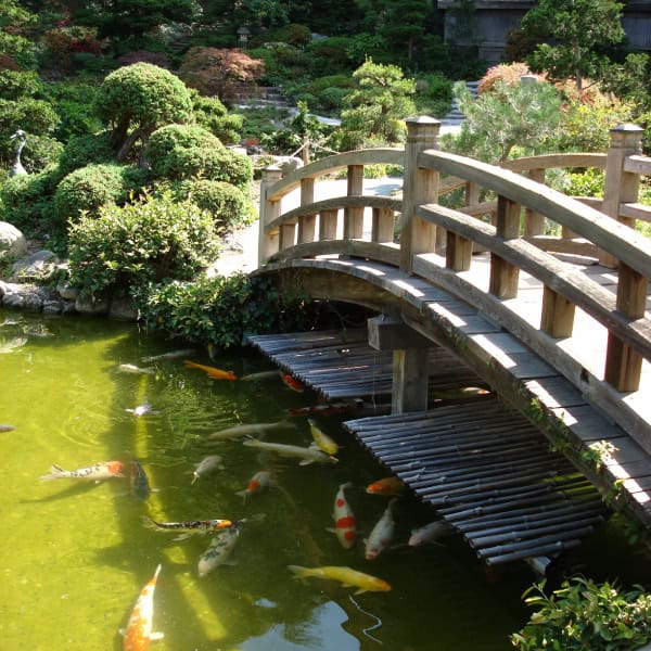 Koi pond bridge