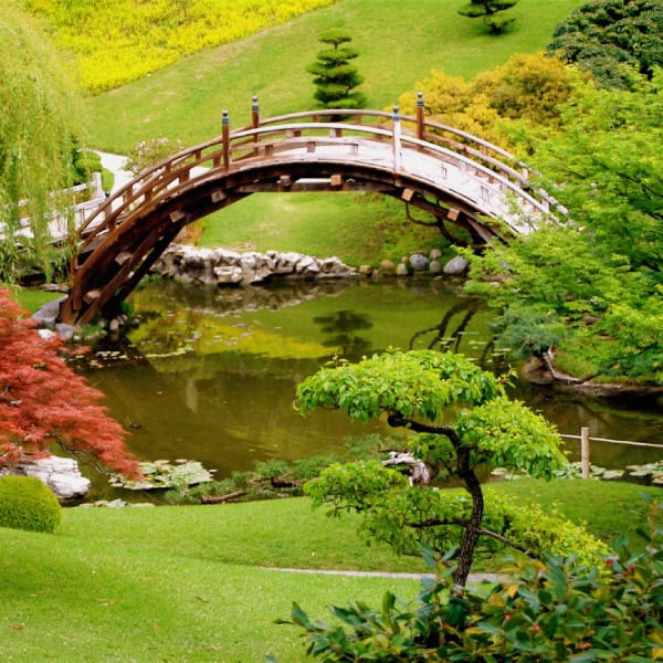 Traditional Asian moon bridge