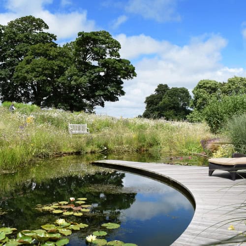 Wooden pond decking