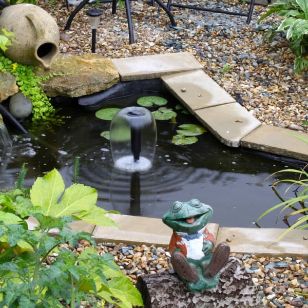 Backyard pond with solar-powered fountain