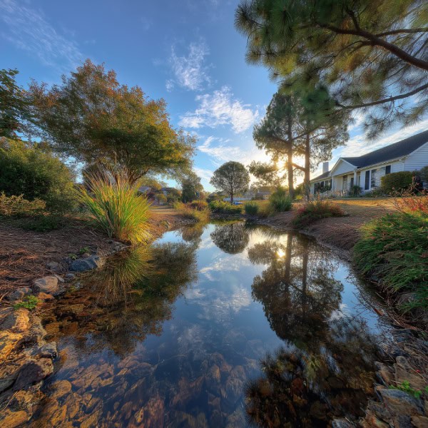Front yard mirror pond